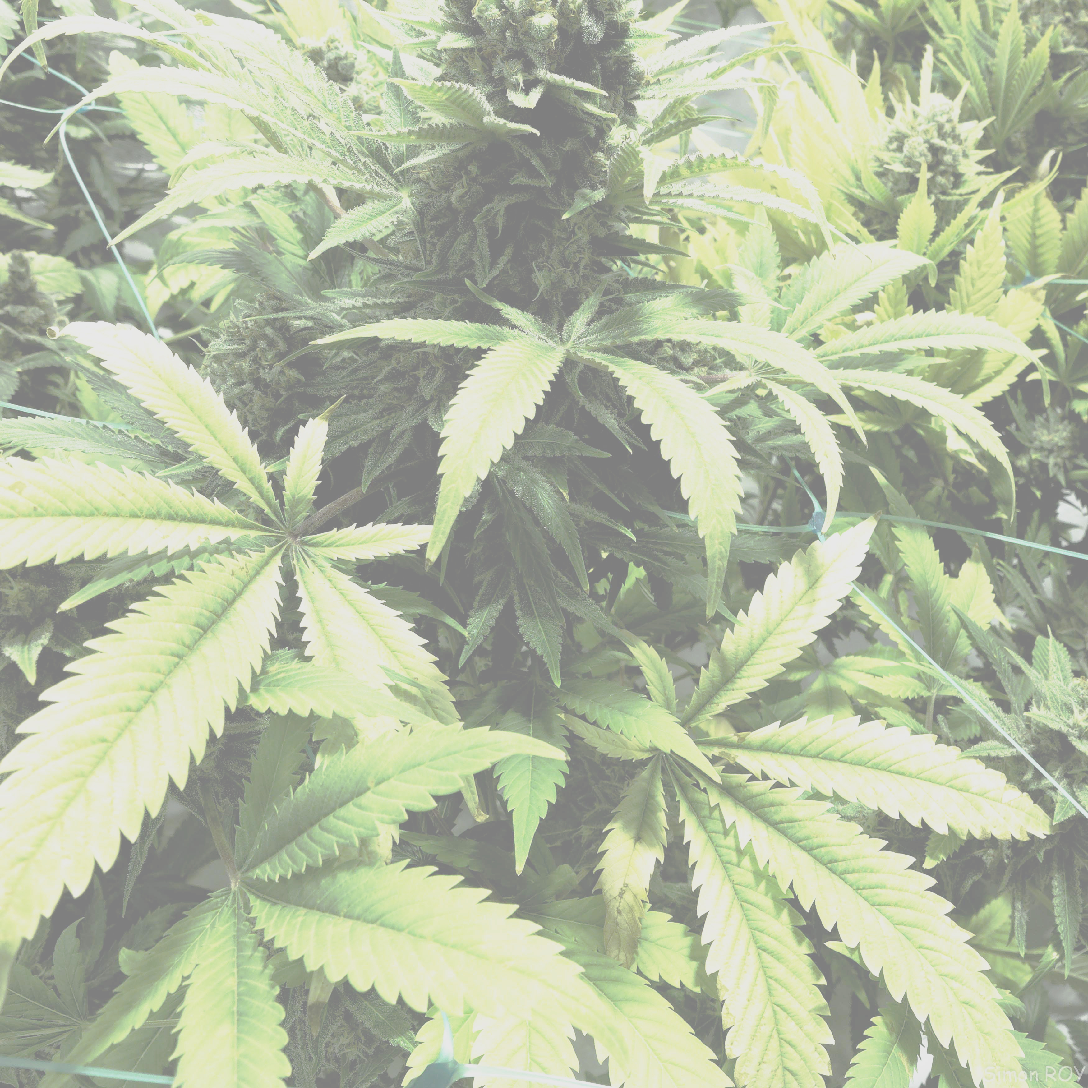 6077264392_81386e3348_o2